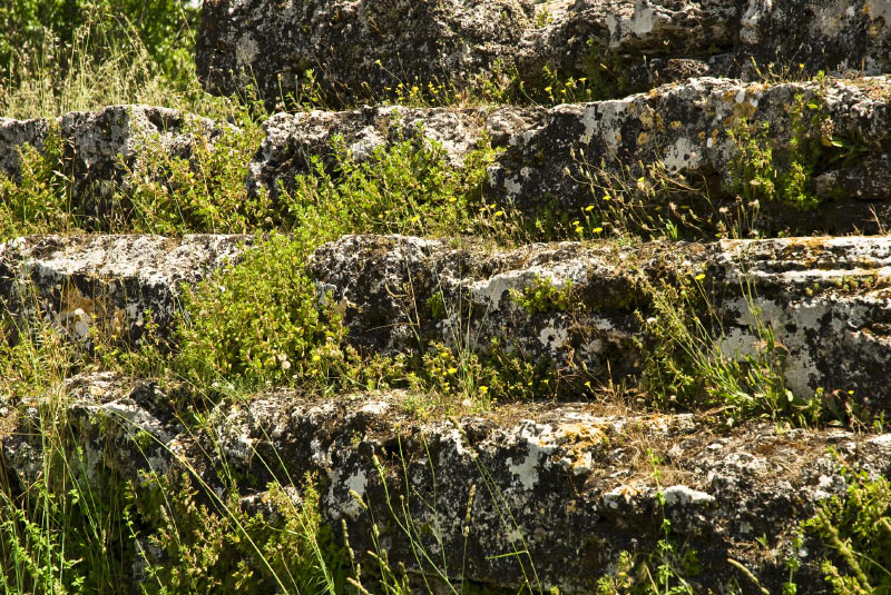Kampanien_080611_0212