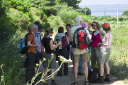 Kampanien_080609_0021