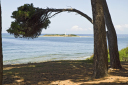 Kampanien_080609_0037