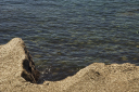 Kampanien_080609_0058