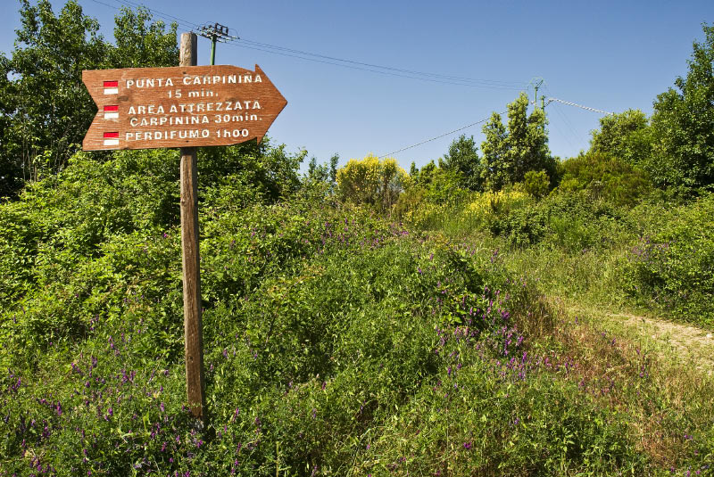 Kampanien_080610_0110
