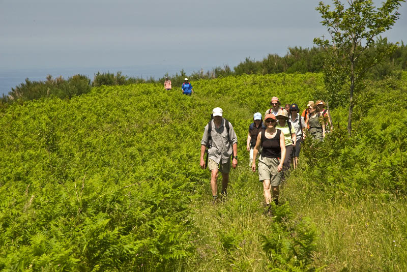 Kampanien_080610_0126