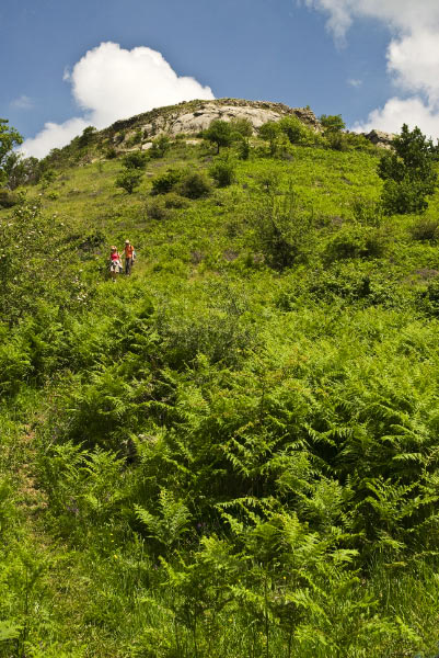 Kampanien_080610_0133