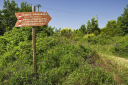 Kampanien_080610_0110