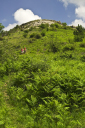 Kampanien_080610_0133