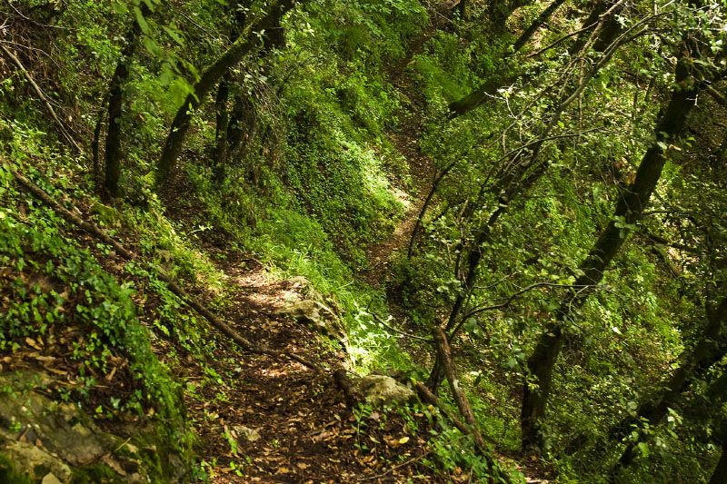 Kampanien_080612_0286