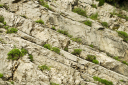 Kampanien_080612_0310