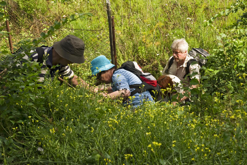 Kampanien_080614_0459