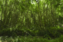 Kampanien_080614_0470