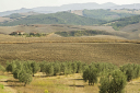 Toskana_070930_0988