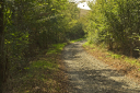 Toskana_070930_0995