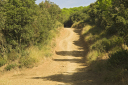 Toskana_071002_1195