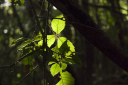 Toskana_071002_1256