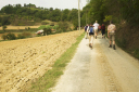 Toskana_071003_1324