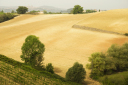 Toskana_071003_1330