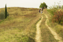 Toskana_071003_1336