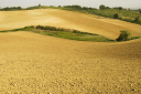 Toskana_071003_1340