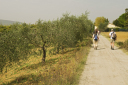 Toskana_071003_1343