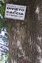 Toskana_070922_0072