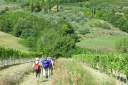 Toskana_070922_0075