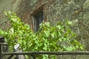 Toskana_070922_0085