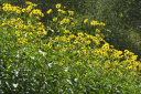 Toskana_070923_0184