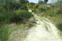 Toskana_070923_0201