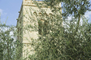 Toskana_070923_0224