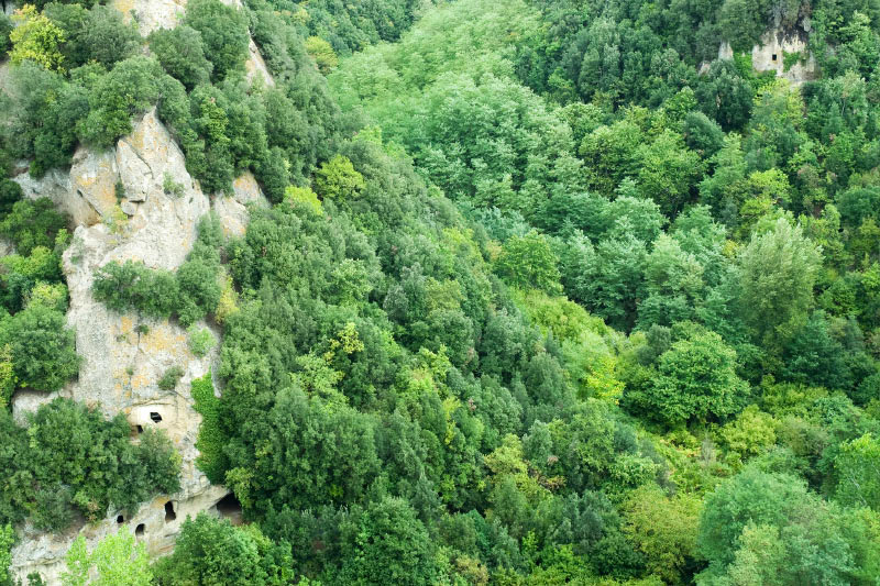 Toskana_070926_0436
