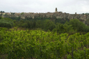 Toskana_070926_0469