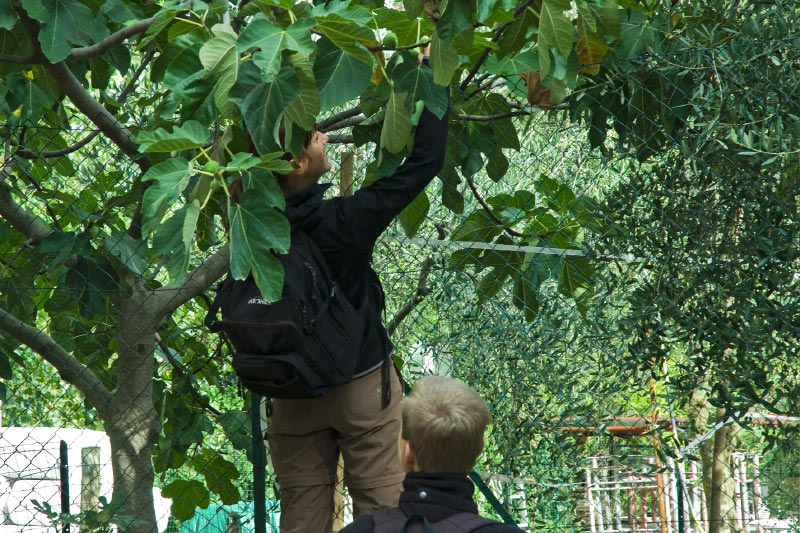 Toskana_070927_0549