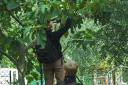 Toskana_070927_0549