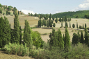Toskana_070927_0600