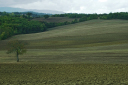 Toskana_070928_0703