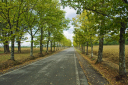 Toskana_070928_0773