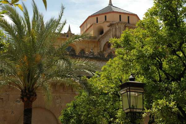 Cordoba026
