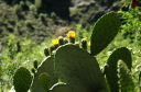 Wanderung_10_026