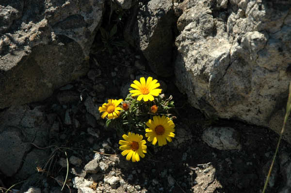 Wanderung_12_021