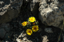 Wanderung_12_021