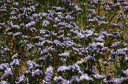 Wanderung_13_034