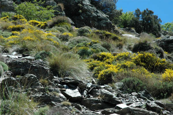 Wanderung_8_039
