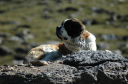 Wanderung_8_032