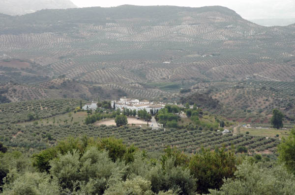 Zagrilla008