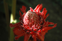 Nach Pinar del Rio_022