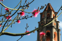 Nach Camagüey_029