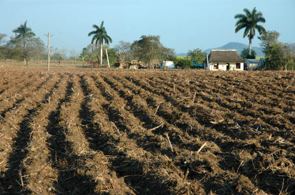 Nach Santa Clara_013