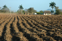 Nach Santa Clara_013