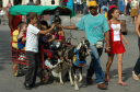 Santa Clara_026