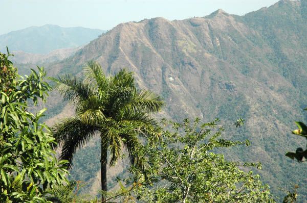 Wanderung Sierra Maestra_016