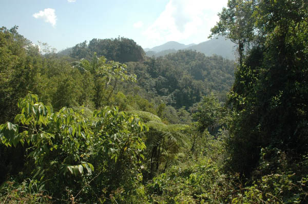 Wanderung Sierra Maestra_023